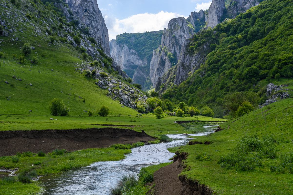 Cheile Turzii
