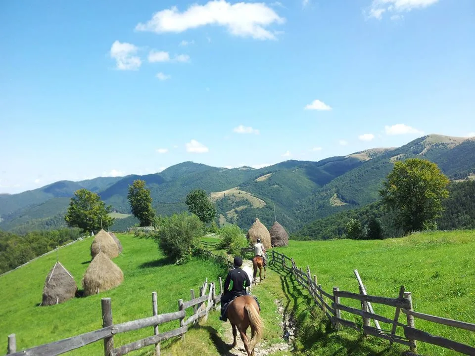 Echitație Călata