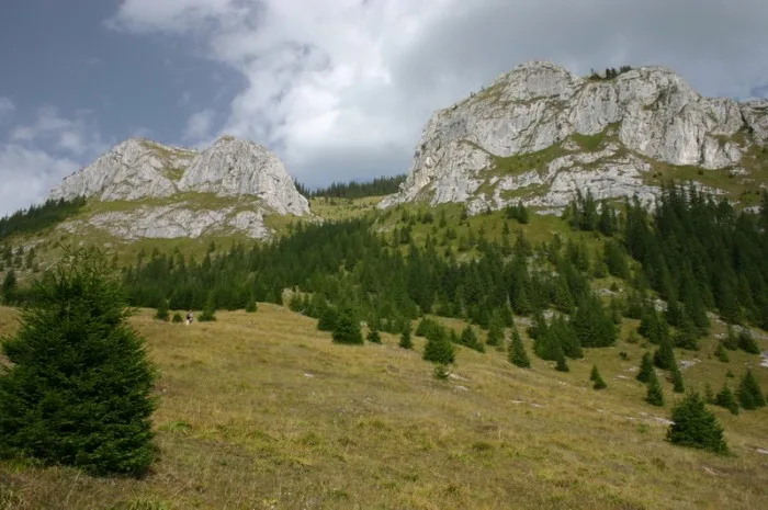 Pietrele Albe
