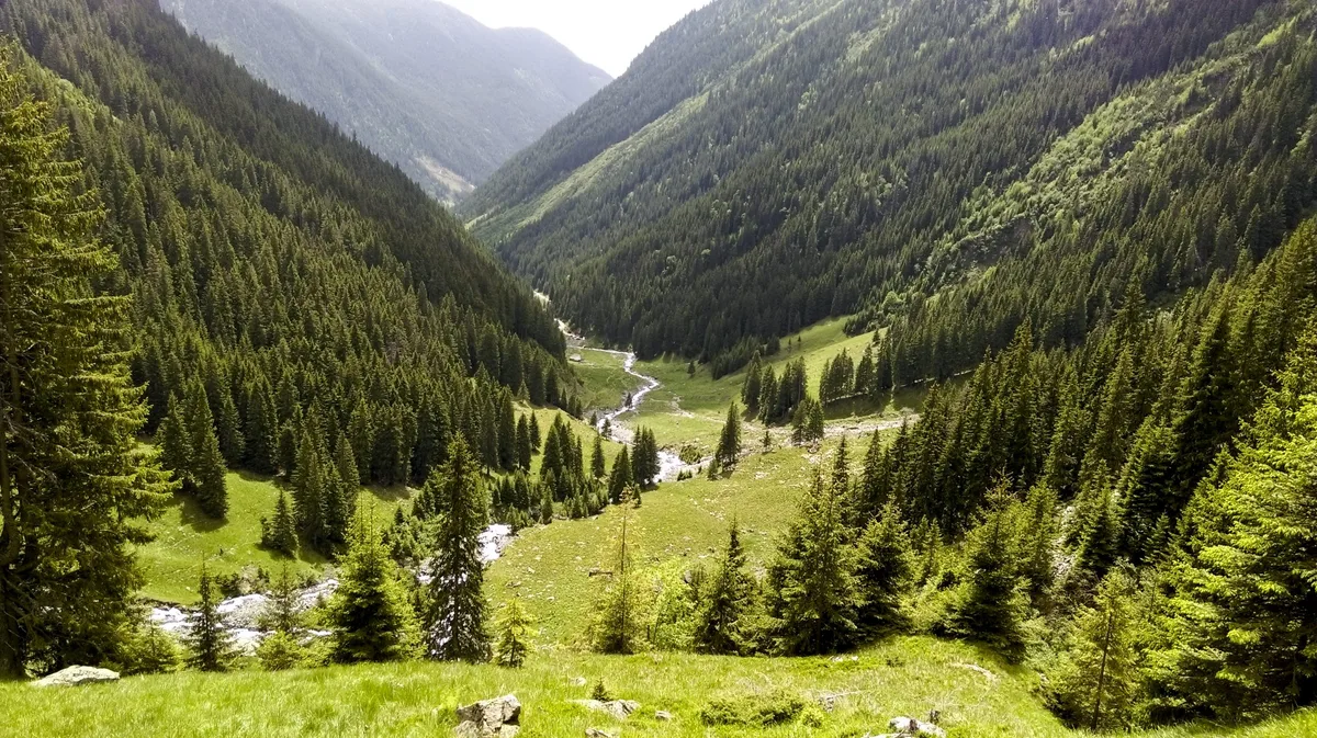 Stâna de Vale