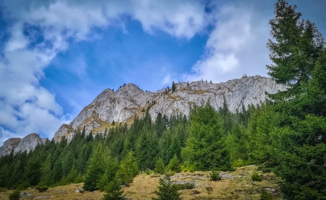 Vârful Vlădeasa 1836 m