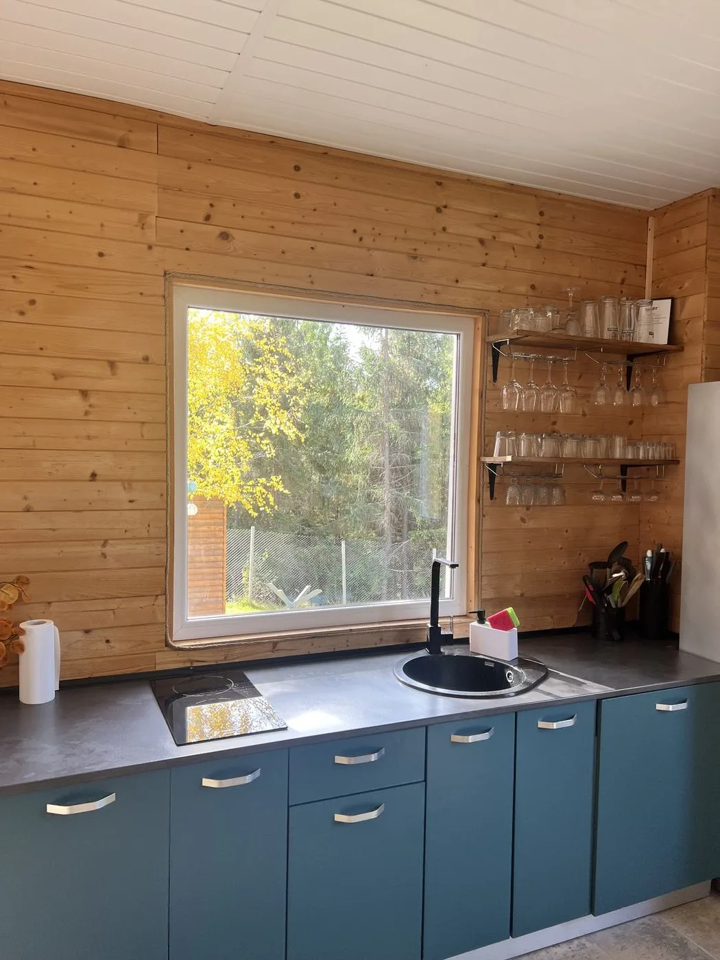 Cabana Albă , fotografie