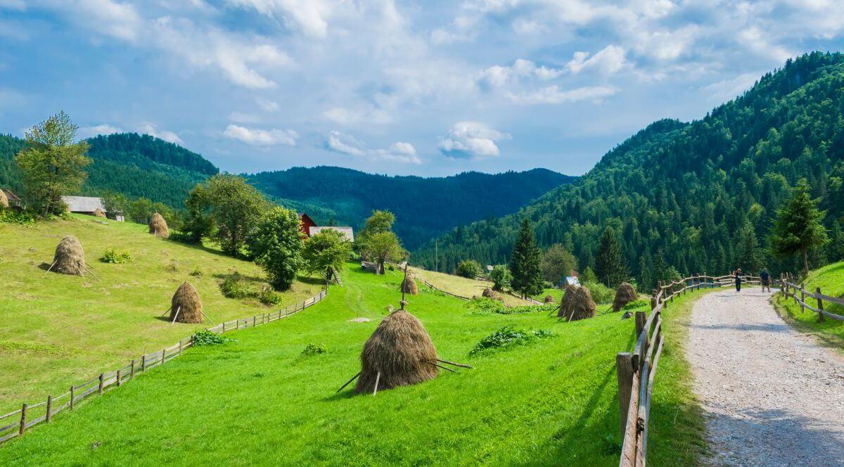 Peisaj natural din Munții Apuseni